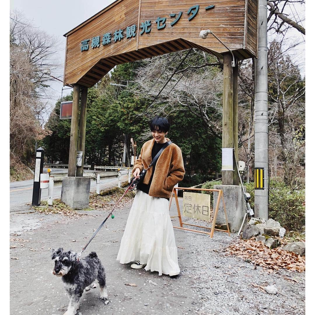 高山都さんのインスタグラム写真 - (高山都Instagram)「実家の団欒を感じるのは、ホントに年に一回のお正月くらいだけど、従兄弟や叔母とワイワイおうちスナックをし、両親のニコニコした姿を見ると、帰って良かったなーと感じる時間。 ウチのアイドル太郎(ミニチュアシュナウザー♂7歳)も相変わらずのご愛嬌。 父、撮影。 #都ふく カシミアのセーターとシルクコットンのスカート、ムートンの重さと軽さの冬バランスが好き。 #aton #elendeek #jilky #isabelmarant  #お正月 #帰省中 #今日東京に戻ります」1月2日 12時36分 - miyare38