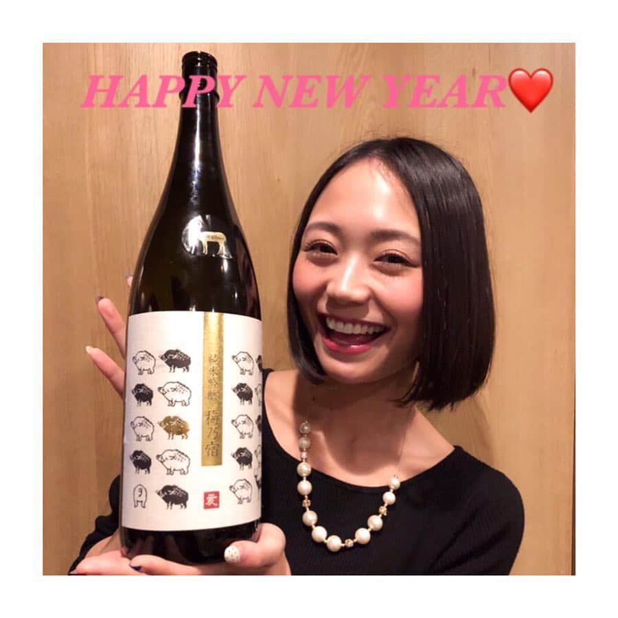 緑川静香さんのインスタグラム写真 - (緑川静香Instagram)「【しーたん日本酒録】  奈良 梅乃宿酒造 梅乃宿 純米吟醸 ジビエ  蔵内で一年熟成させたしっとりしたお酒。  明けましておめでとう今年もたくさん楽しいことしようねなんて言いながらがっつりイノシシ料理を食べコタツに入りながら笑ってる状況どこ。  #しーたん日本酒録 #唎酒師 #日本酒 #日本酒女子 #奈良 #梅乃宿酒造 #梅乃宿 #純米吟醸 #ジビエ #sakemaster #japanesesake #sake  #どんな濃い味の料理にも負けない #肉料理とのペアリングに #お燗女子としては燗したい #ほっこりする #旨味がよりでる #力強い酸 #しっかりとした味わい #心地よい余韻 #高島雄町を100%使用 #生もと仕込み #今年も日本酒たくさん飲むのでしょう #よろしくです」1月2日 13時57分 - midorikawa_shizuka