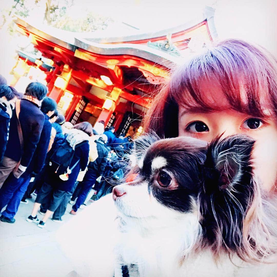 福田朱子さんのインスタグラム写真 - (福田朱子Instagram)「福田家の初詣は毎年1月2日⛩  毎年、  参道に並んでる時Bunnyは基本お父さんに抱っこされてる(๑´・‿・) 御守りとかおみくじ引いた後、  だいたいBunnyは朱子に抱っこされて写真撮るのに付き合わされるU・x・U  おみくじの中身ってさ、解読難しいよねw  #初詣 #毎年恒例 #おみくじ #中吉だった #いいことありますように #みんな幸せ #よろしくお願いいたします #御守りは体 #数え方」1月3日 1時13分 - syuko29