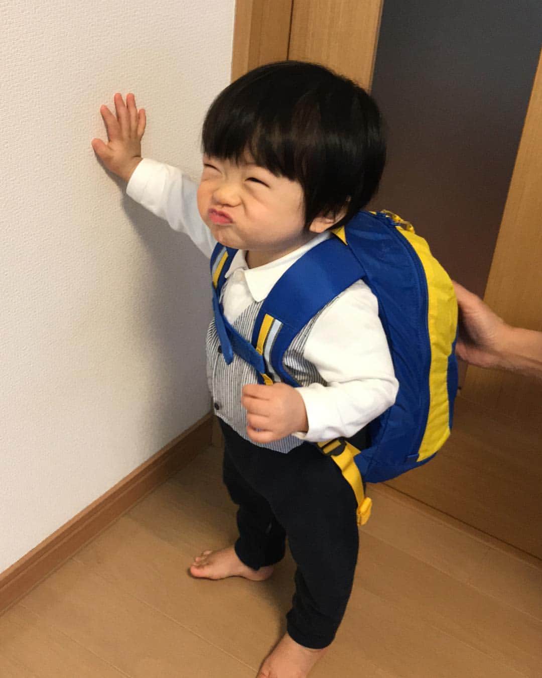 氷浦紫さんのインスタグラム写真 - (氷浦紫Instagram)「まだ11ヶ月だけど、お正月でみんながいる時にやりたいということで#一升餅 担ぎました❤  風呂敷では無理だと思って、リュックを準備。 montbellのキッズ用。  お餅は父のもち米でついたもの  私の実家と旦那さんの実家と2回もやりました。 本人はなんでこんな重いもの何度も担がされるのかと思っているみたいだったけど笑 いい記念になりました！  みんなに撮られてる間なんであんな変顔するのか謎だけど…… 実家にかえってたらなんだか息子ちんも太ったみたい笑 目が小さくなった爆  #新潟のお餅#じぃじのお餅#一生食べるものに困りませんように  #babystagram#montbell#11monthbaby#赤ちゃんのいる生活 #アルマーニベビー#armanibaby」1月2日 17時58分 - yukalihiula