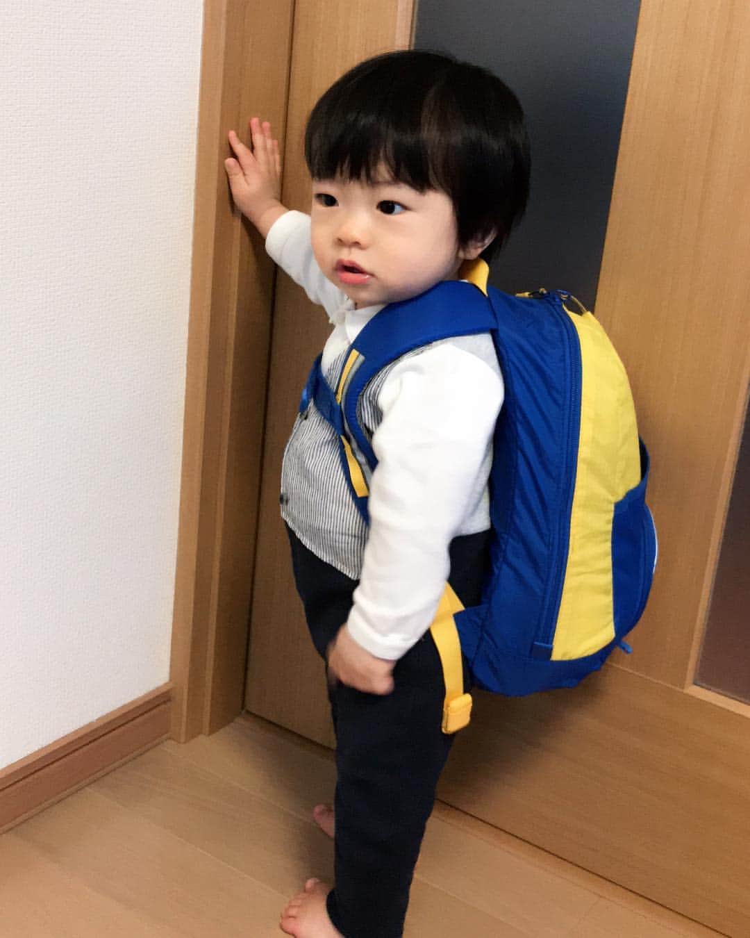 氷浦紫さんのインスタグラム写真 - (氷浦紫Instagram)「まだ11ヶ月だけど、お正月でみんながいる時にやりたいということで#一升餅 担ぎました❤  風呂敷では無理だと思って、リュックを準備。 montbellのキッズ用。  お餅は父のもち米でついたもの  私の実家と旦那さんの実家と2回もやりました。 本人はなんでこんな重いもの何度も担がされるのかと思っているみたいだったけど笑 いい記念になりました！  みんなに撮られてる間なんであんな変顔するのか謎だけど…… 実家にかえってたらなんだか息子ちんも太ったみたい笑 目が小さくなった爆  #新潟のお餅#じぃじのお餅#一生食べるものに困りませんように  #babystagram#montbell#11monthbaby#赤ちゃんのいる生活 #アルマーニベビー#armanibaby」1月2日 17時58分 - yukalihiula