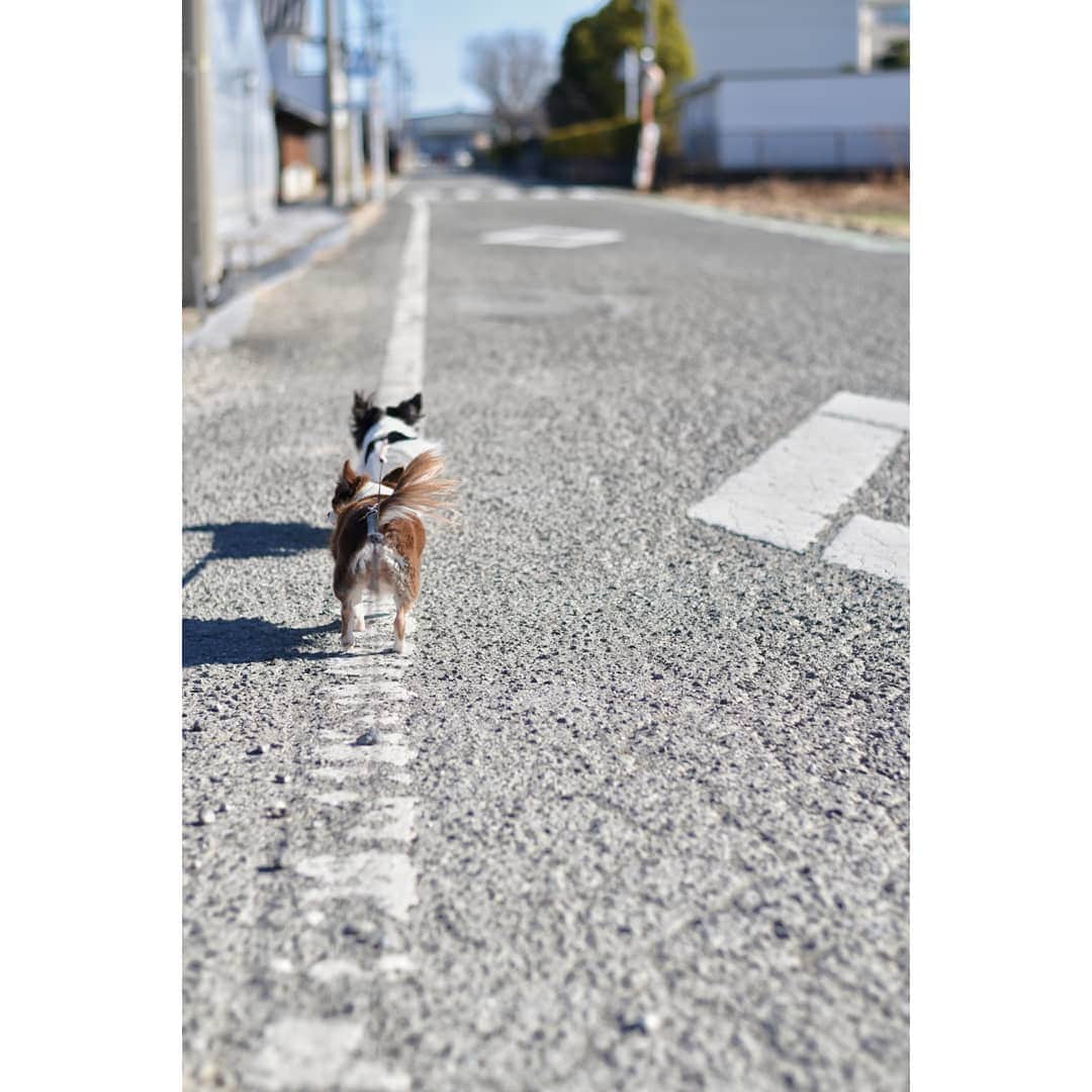 峯岸伽奈のインスタグラム