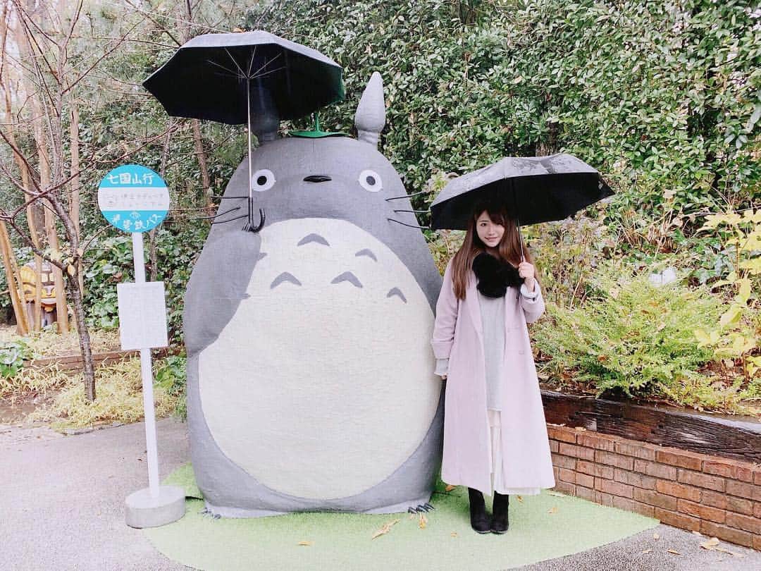 池田愛恵里さんのインスタグラム写真 - (池田愛恵里Instagram)「トトロいた🙃 たまたま雨が降ってて、傘おそろい☂️ #となりのトトロ」1月2日 21時12分 - ikeda_aeri