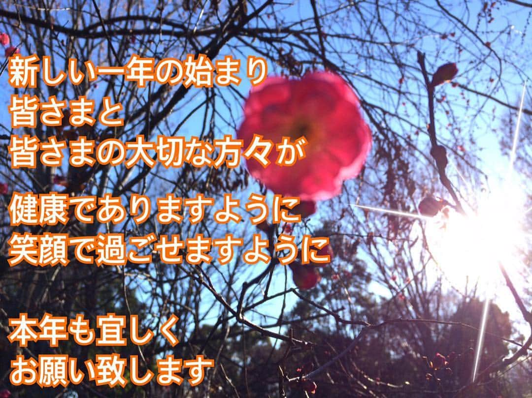 花原あんりのインスタグラム：「🎍2019年🎍  #singers #singing #musics #japan #vocals #acoustic #tflers #artist #artiste #photooftheday #artistic #television #vocals #like4like #singer #tflers #instadaily #musician #swag #MC #moodygrams #guitarist #東京 #insta #instagram #love #l4l #instagood」