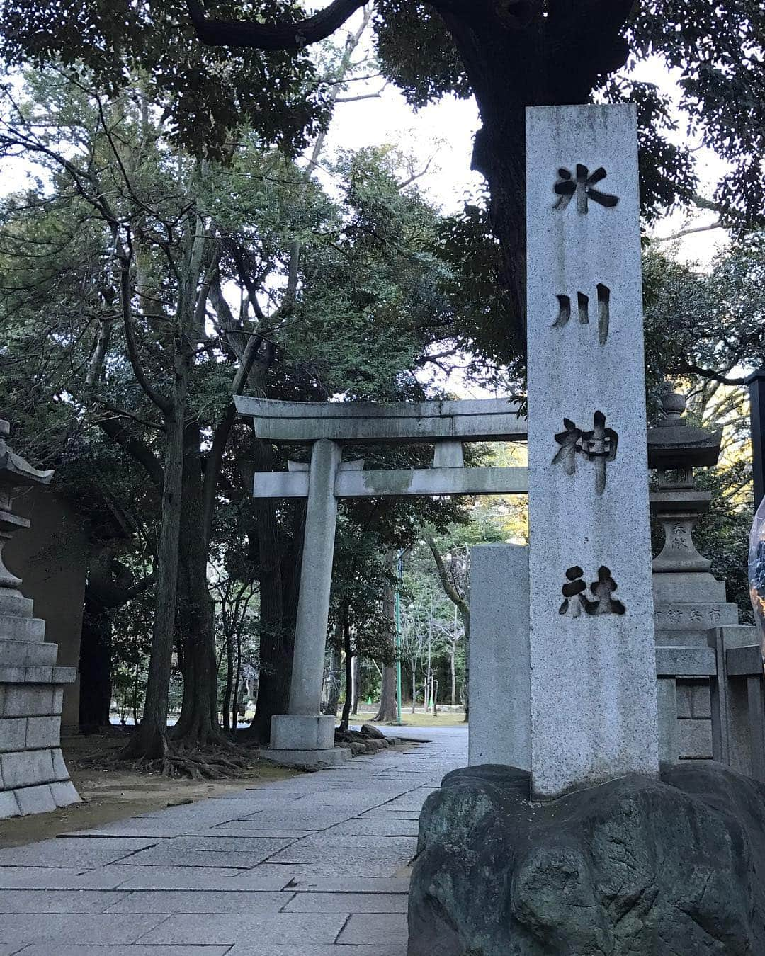 芦田桂子さんのインスタグラム写真 - (芦田桂子Instagram)「新年2日目は早朝から初詣へ⛩ 心新たにこれまでの感謝と今年も健康で平和に過ごせますようにとお願いしてきました✨ ✴︎ 朝一の愛宕神社86段の男坂(別名:出世の石段)はキツかった〜! 行く前から止まらず一気に登り切る!と決めてたので今年一番の目標達成ですっ 笑 そして、、 やっぱり氏神さまにもご挨拶をと氷川神社へ参拝⛩ ✴︎ 午後からは一人暮らしの娘と 娘宅近くの出雲大社分院へ⛩ 一日に3つの神社を参拝したのは人生初！ こんなに一気に廻るなんて神様に怒られないかしら？ 大丈夫かしら？ と心配しつつも出店のアッタカイ甘酒と娘の盛り盛り陽気なアプリでニンマリ😊笑 ✴︎ 暖かくお天気にも恵まれた2019初詣はどちらの神社も清々しく感じたよ✨ さて、明日で三が日が終わるね そろそろエンジン温めなきゃ👍 ✴︎ #愛宕神社 #氷川神社 #出雲大社 #初詣  #きっと神様は許してくれるはず #平和  #健康 #幸せ  #仕合わせも #おやすみなさい  #芦田桂子」1月2日 23時50分 - keiko_ashida