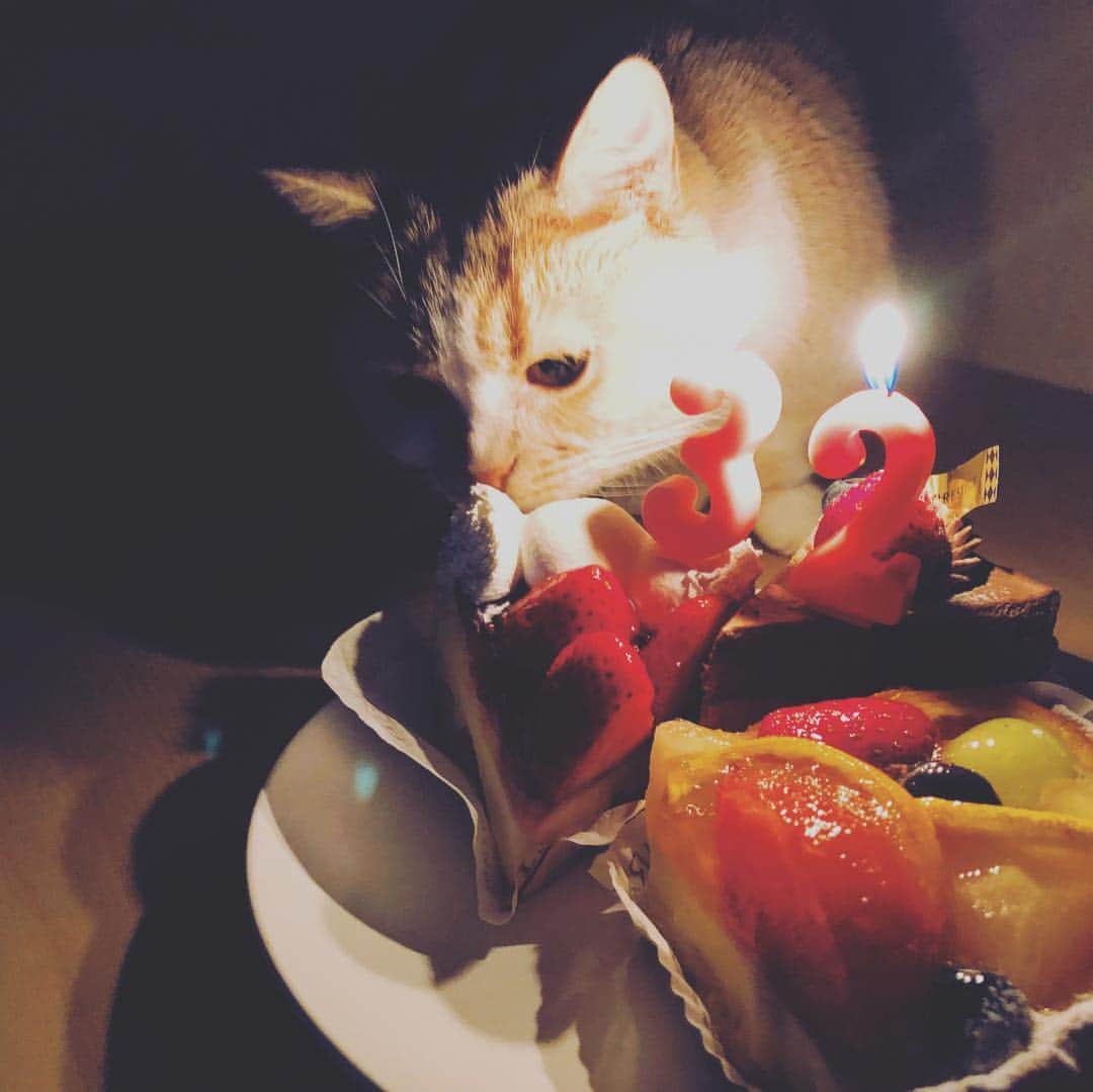 伊丸岡亮太のインスタグラム：「無事32歳迎えましてん！みかんに先にケーキは食べられちゃいました🥺そしてサプライズにデズニーー🐇ありがたき。 色々コメントとかくれたみんなもありがとうー！！」