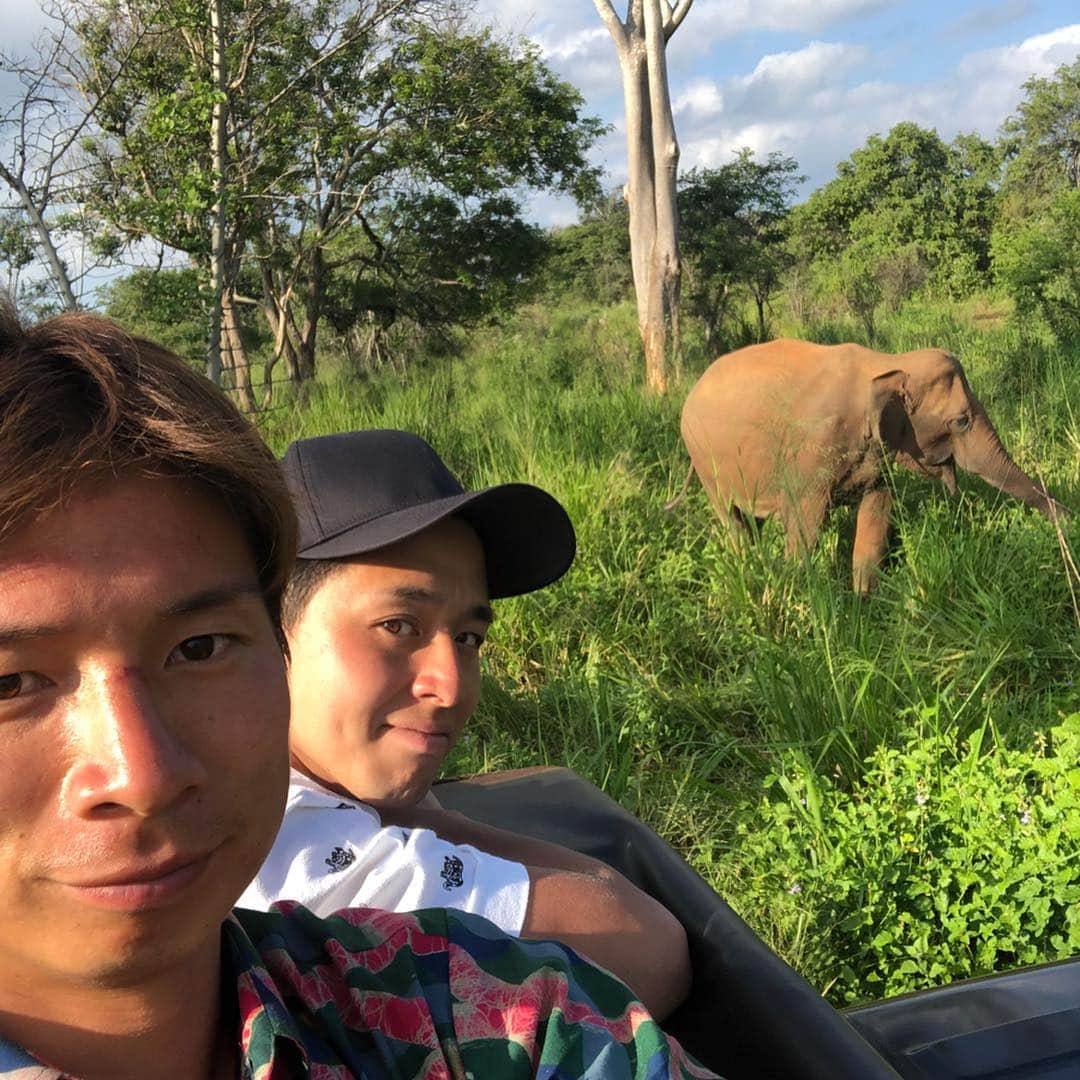 長澤和輝さんのインスタグラム写真 - (長澤和輝Instagram)「Safari in Srilanka🇱🇰🐘🦎🐃 双眼鏡買っていけばよかった。 象の大群に遭遇！！ #srilanka #elefant #safari #view #beautiful #lovely #jeep #nature #earth #象 #カメレオン #バッファロー」1月4日 0時25分 - nagasaman1216