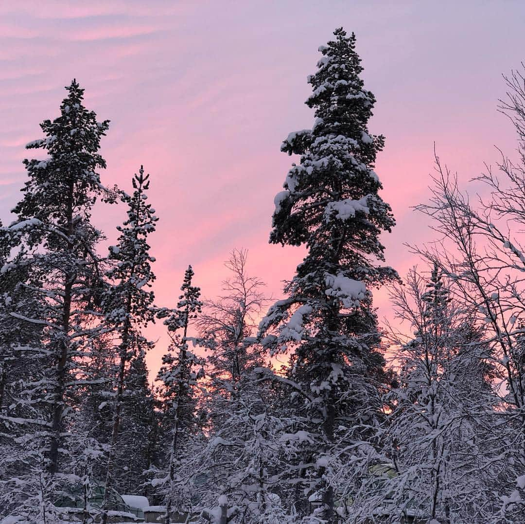 マーゴット・ロビーさんのインスタグラム写真 - (マーゴット・ロビーInstagram)「⛄️Lapland⛄️」1月4日 14時07分 - margotrobbie