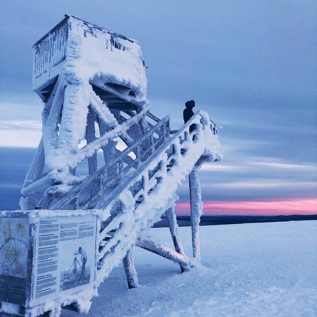 マーゴット・ロビーさんのインスタグラム写真 - (マーゴット・ロビーInstagram)「⛄️Lapland⛄️」1月4日 14時07分 - margotrobbie