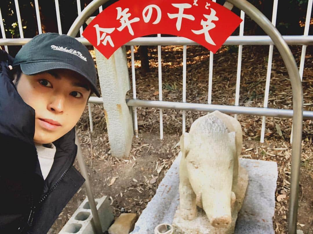 YORIさんのインスタグラム写真 - (YORIInstagram)「今年の干支は… 「亥」🐗」1月4日 11時16分 - yori_dp