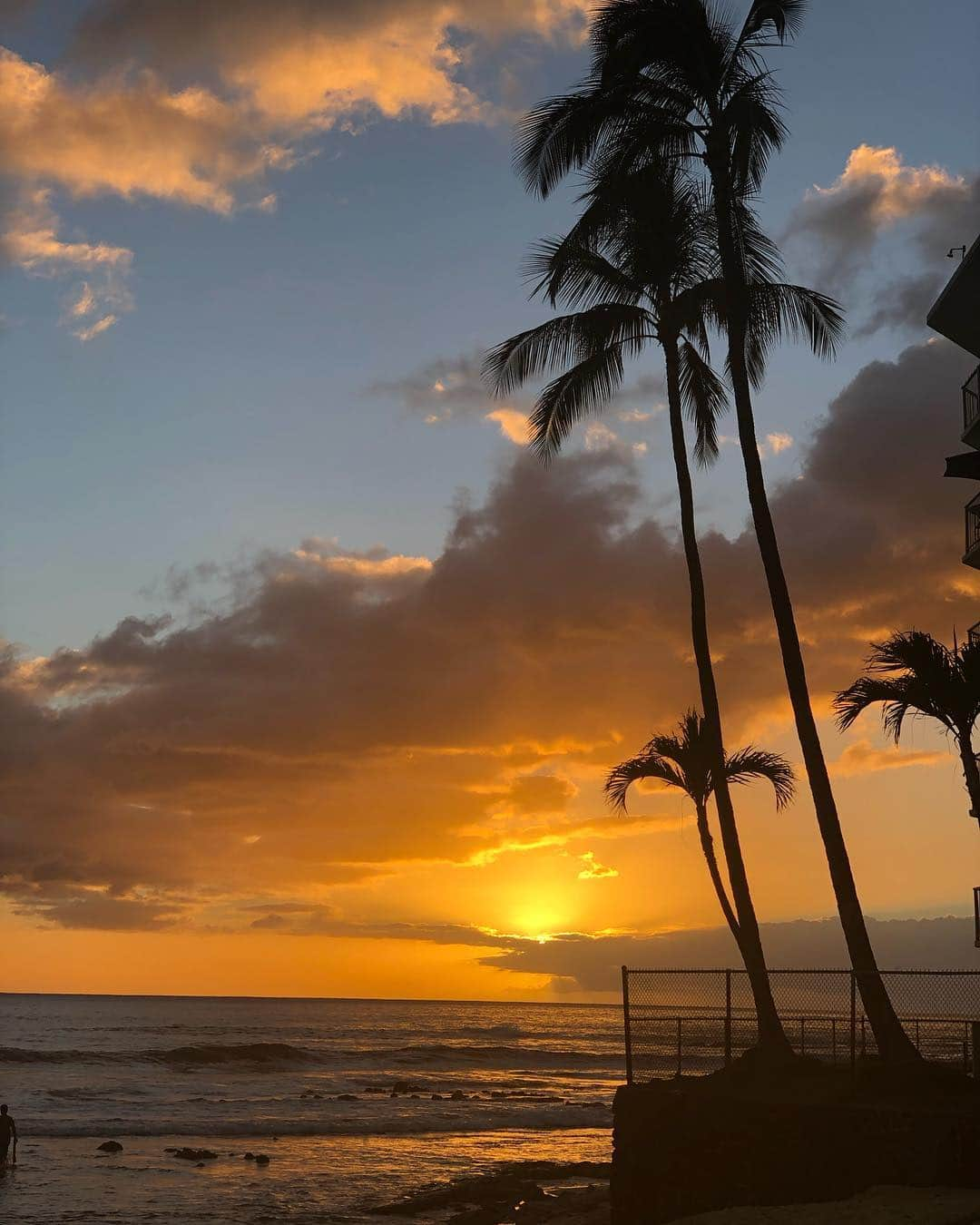 伊藤歩さんのインスタグラム写真 - (伊藤歩Instagram)「Happy new year🌈 Hoping all the best and shining moments for you in 2019🌺 * * 映像で皆様にたくさん会えますように💋 * * * #2019#beautyofnature#lovebeach#lovenature#brightfuture#hawaiilife#surflife#お正月#海大好き#サーフィン大好き#太陽いっぱい#虹の国#幸せしかない#感謝#ありがとう#平成最後のお正月#伊藤歩」1月4日 12時26分 - ayumi__ito