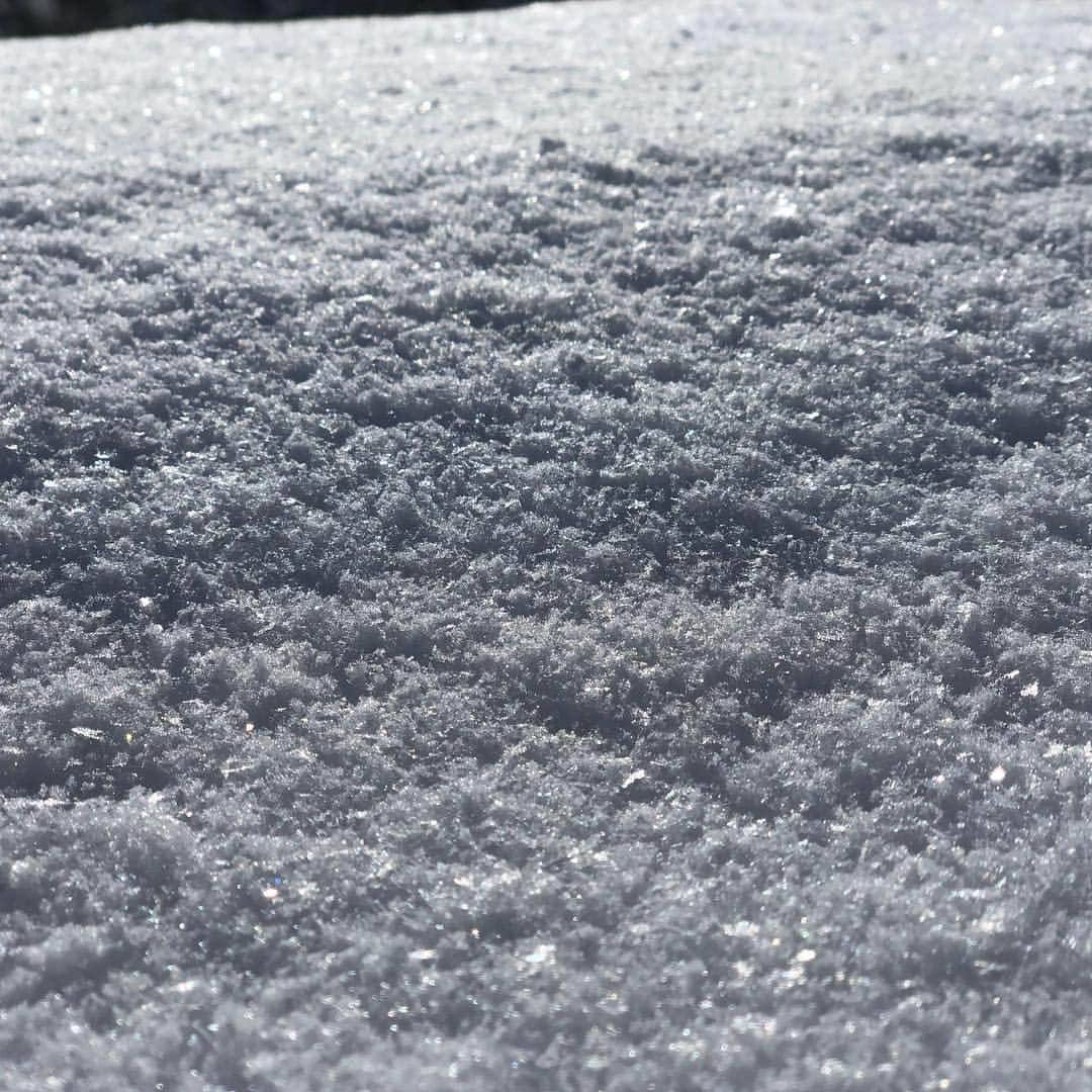 朝日光輝さんのインスタグラム写真 - (朝日光輝Instagram)「雪❄️が綺麗すぎ🤩🤩🤩 * * * * * * * * * * #新潟県#上越妙高#ロッテアライリゾート #雪#雪国#綺麗な雪#晴天#お正月#帰省#美容師の休日#スキー#スノボー」1月4日 12時44分 - mitsuteru_asahi