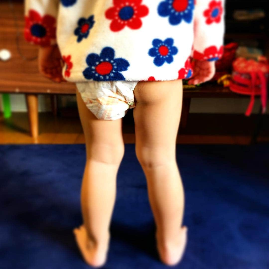 新井美穂さんのインスタグラム写真 - (新井美穂Instagram)「今日から保育園。 休み気分で朝からはしゃいでる娘に、保育園だから着替えよう！と着替えさせようとすると 今までみたいに泣いて行きたくな〜いのではなく、「行かない！！」と正々堂々#登園拒否 （笑） 「お尻はみ出てるし、早よ着替えて！」と突っ込んでも頑として動かない（笑） #子供あるある#ぷりけつ#はみけつ#可愛い風景 しばらく放っておいたら、決心ついたのかポロポロこぼしてた涙を自分で拭って、ちゃんとオムツにお尻を入れてお着替えして 保育園帰りに島忠行こうねと約束して、大人しく登園してくれました〜💮 #娘の成長#子供の成長 ってすごいなぁ。 #娘2歳7ヶ月」1月4日 13時36分 - arai_miho