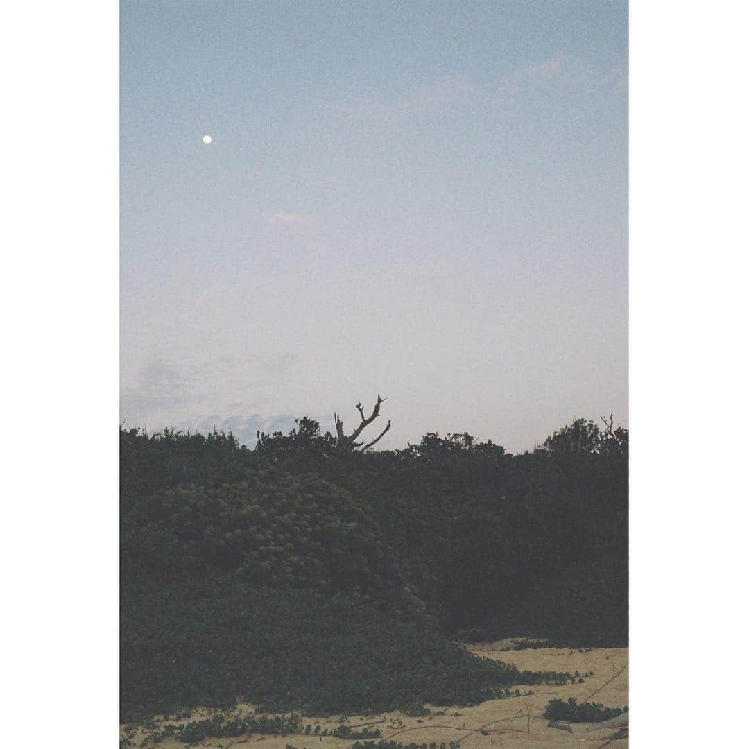 黒島結菜さんのインスタグラム写真 - (黒島結菜Instagram)1月4日 16時11分 - yuinakuroshima