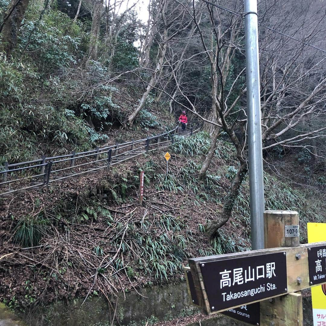 福山恵梨さんのインスタグラム写真 - (福山恵梨Instagram)「高尾山登ってきましたー！ ほどよい運動。笑  #高尾山 #登山 #おみくじは #大吉でした」1月4日 18時38分 - erigolferi