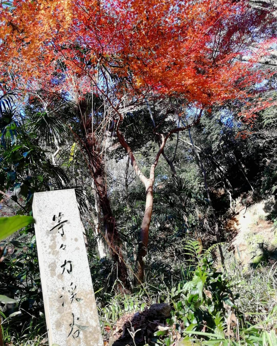 杉山由紀子のインスタグラム