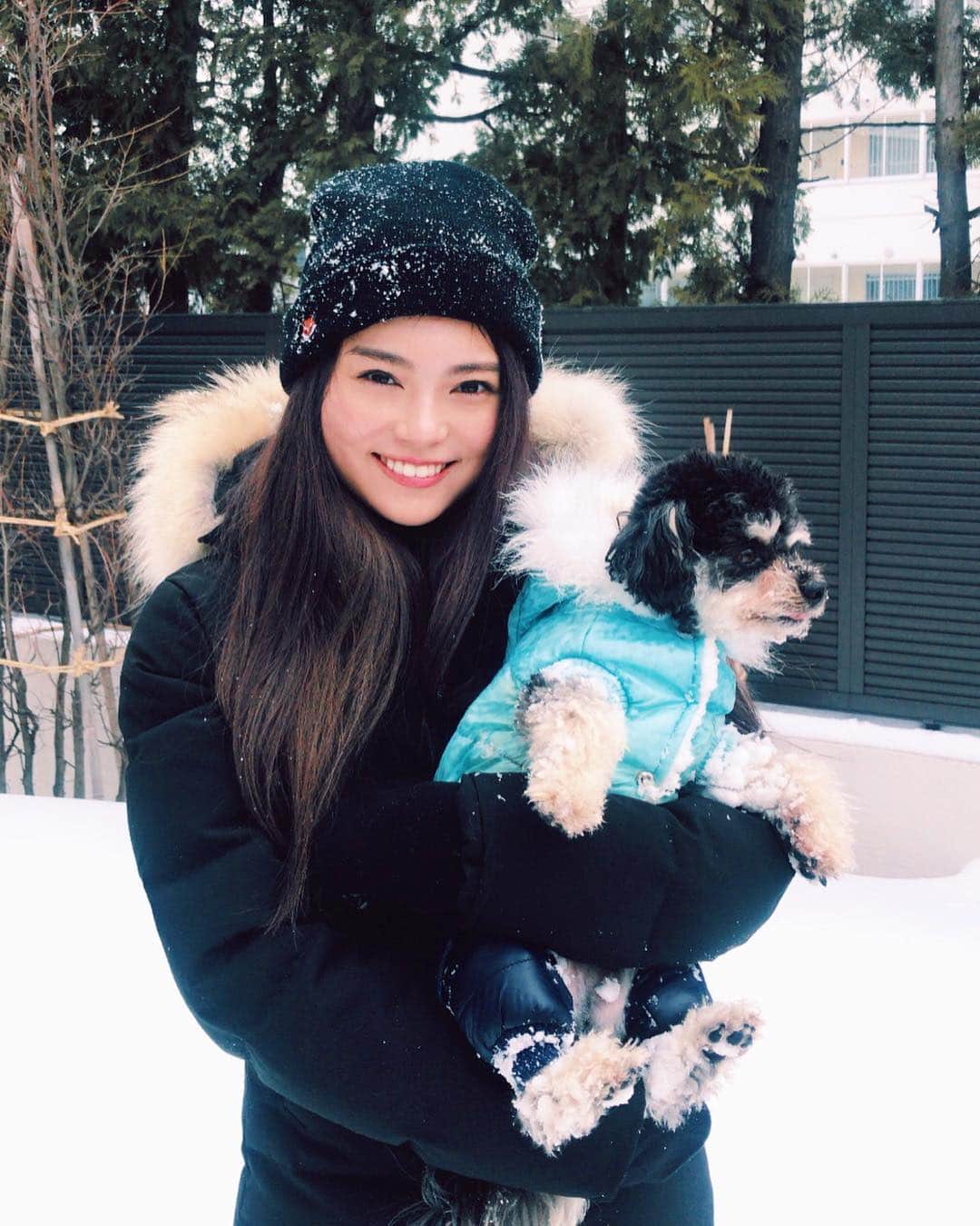 嶋優花のインスタグラム：「リオンくんです♡ . チワワ×プードルのミックス犬🐶 .」