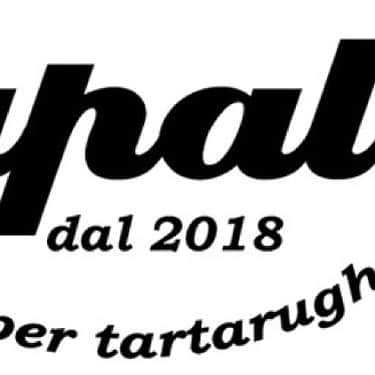 炭火ダイニングtsuruのグルメインスタ