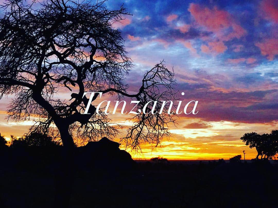 西山真以さんのインスタグラム写真 - (西山真以Instagram)「* “死ぬまでにいつか必ず行ってみたい” ずっと憧れていたアフリカ大陸。 . 人生で初めてのアフリカ大陸、Tanzaniaへ。 . 大自然の中で眺める朝陽は一際美しく感動的な光景でした。 . .  #tanzania  #serengeti  #safari #trip」1月5日 22時52分 - mai0830