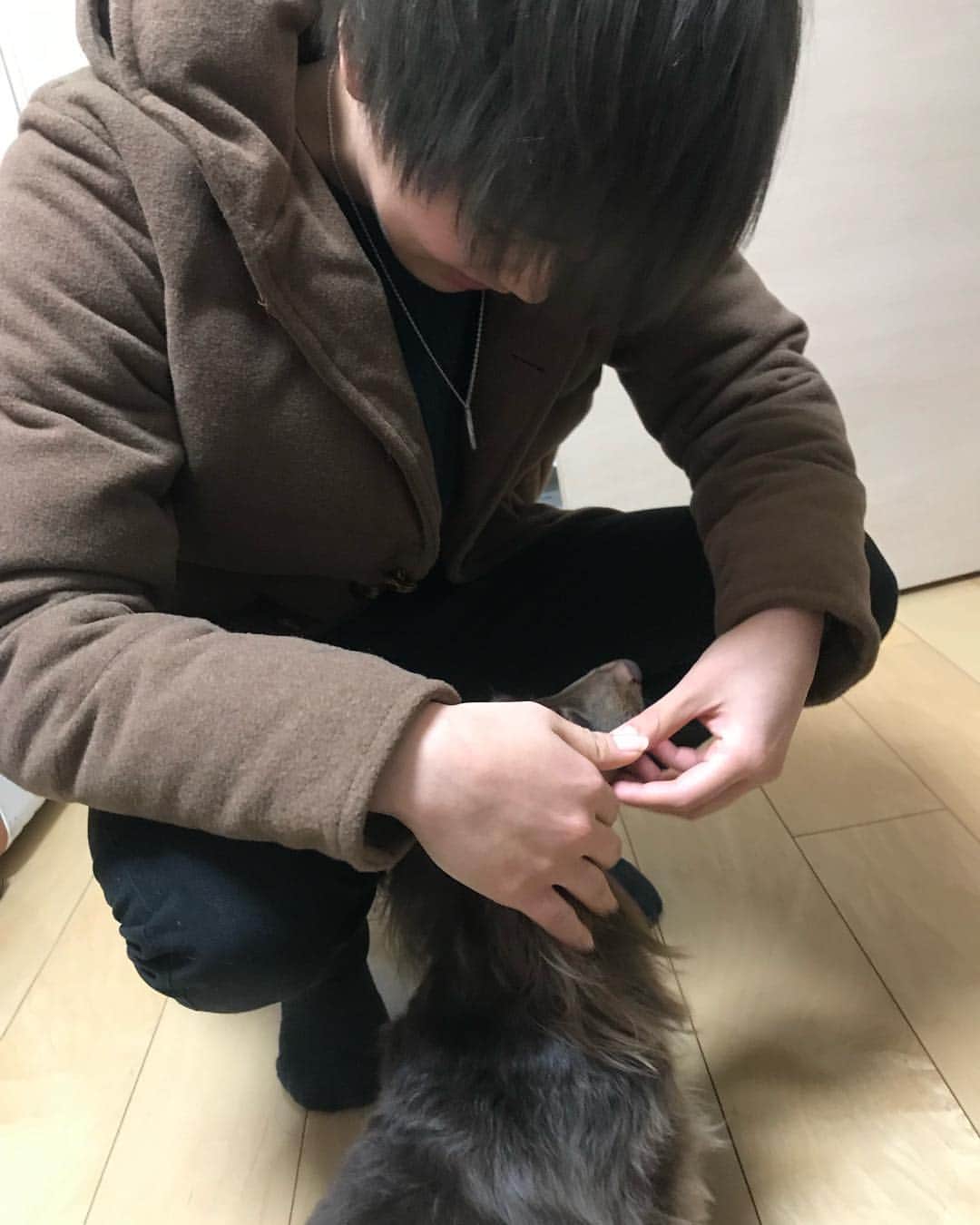 町田瑠唯さんのインスタグラム写真 - (町田瑠唯Instagram)「． やっと会えた〜🐶 めっちゃ可愛かったー。 カメラ向けたらそっけないけど…笑 みんなにも会えて嬉しかったなー。  ちょっと緊張してたけど、、笑 ． 昼過ぎからお出かけ〜 夜の散歩好きなんよね〜！ お互いちゃんとしゃべれないから会話になってないし、ずっと笑ってたわ😂 そして、優しさに感動🤝🤝 いいリフレッシュができたー！！ ありがとう〜！！！ ． 頑張ろうって思える存在。 ほんと尊敬するし、不思議な存在だね〜‼︎こういう存在大切にしたいな☺️🤘 ． #ボヘミアンめちゃよかったー。 #ネイルすぐとれる、笑 #ほんとパワーなる #モチベ #はやく治りますように… #最高の癒し #顔痛くなる」1月5日 23時11分 - macchi0308