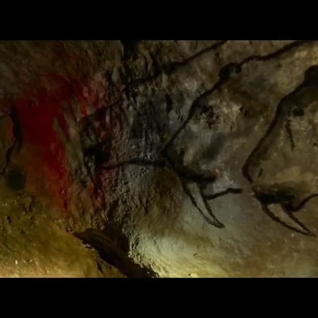 リリー・ローズのインスタグラム：「Les Fauves🐆 un film de Vincent Mariette  SORTIE LE 23 JANVIER !」