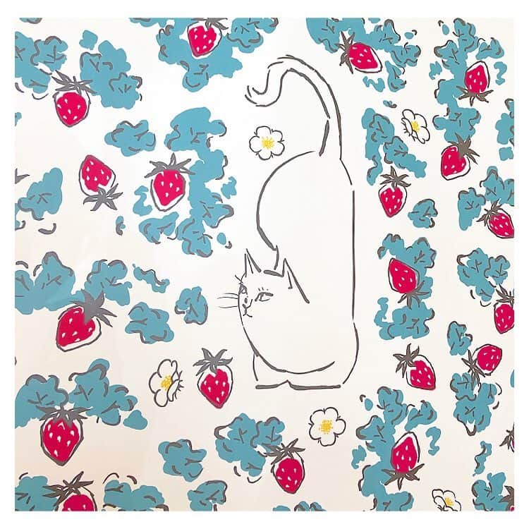 真野淑實のグルメインスタ