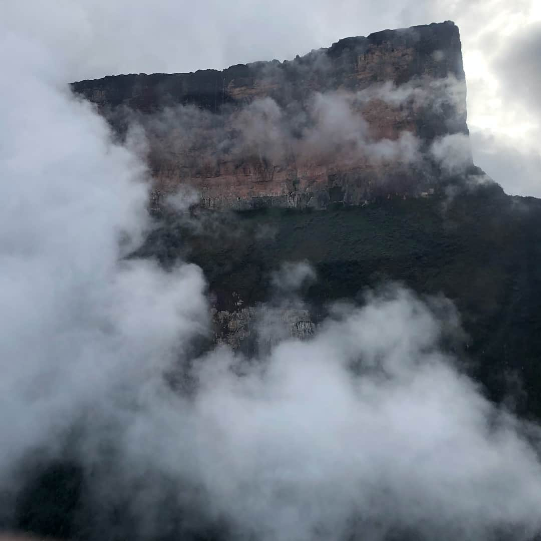 イモトアヤコさんのインスタグラム写真 - (イモトアヤコInstagram)「・ #イッテQ #今夜はギアナ高地登山 #ぜひ見てちょ 夜7時〜」1月6日 12時13分 - imotodesse