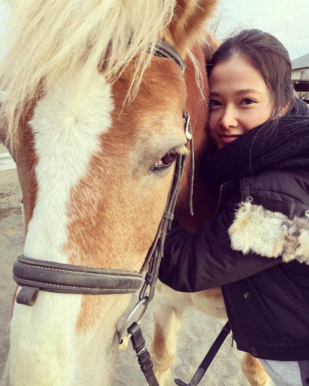 草刈麻有のインスタグラム：「#Sunday #いつもマイペースなジュリオ」