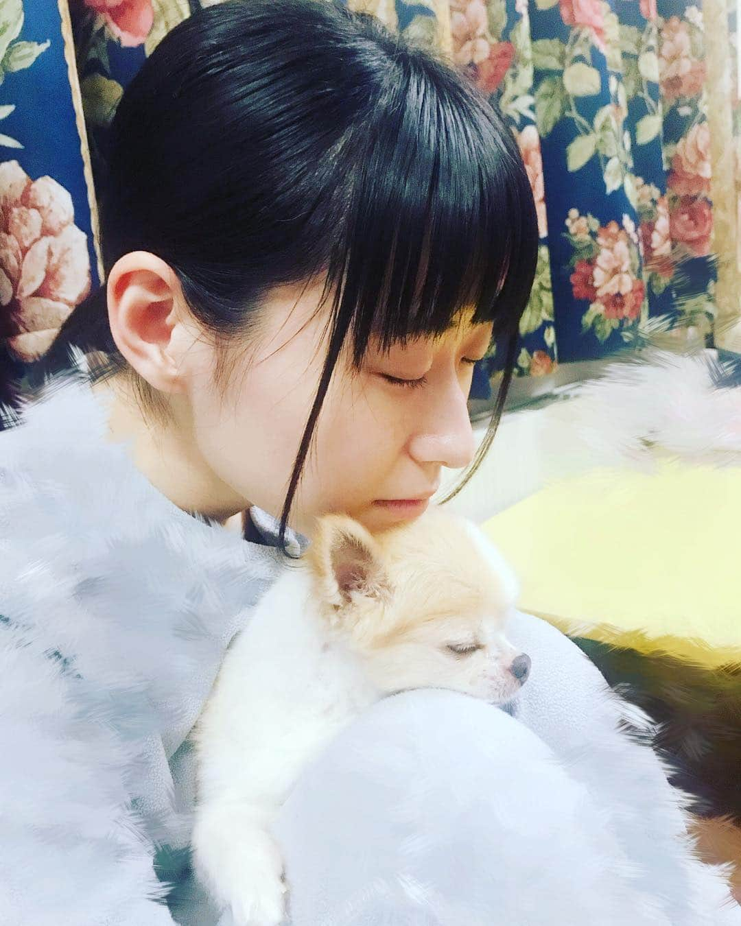 唯月ふうかさんのインスタグラム写真 - (唯月ふうかInstagram)「すやすや。」1月6日 21時11分 - fuka_yuduki