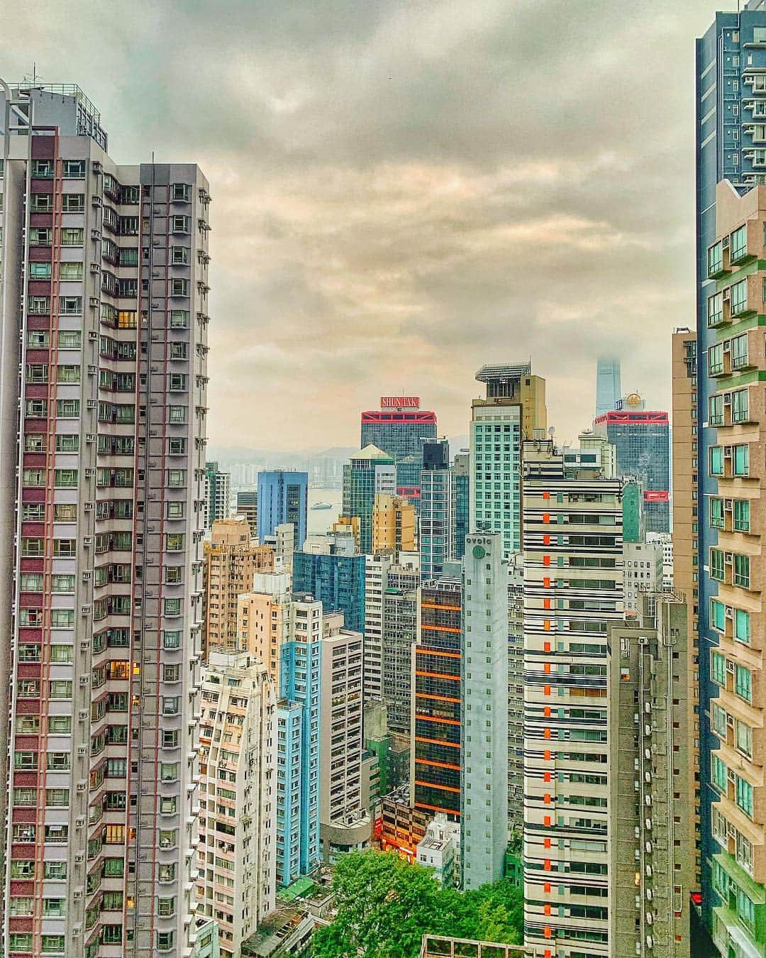 里海さんのインスタグラム写真 - (里海Instagram)「香港🇭🇰👋🏼」1月7日 8時12分 - satoumi0330