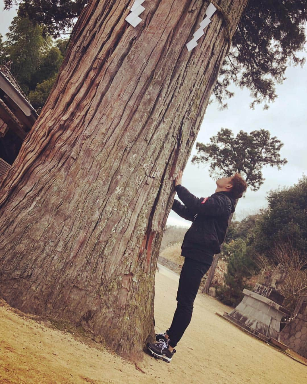 山岡泰輔さんのインスタグラム写真 - (山岡泰輔Instagram)「. . . 今年も清神社に初詣に行きました🌅 ここに来ると1年始まると思う気持ちと 今年もやってやるって気持ちになります！ . . 今日からラオウさん、たい兄、つばさが合流してキャンプまで頑張っていきます😆👌 . . 今年もこの写真🤳 去年同様この木からパワー貰いました😊👍 . . #orixbuffaloes #初詣 #参拝 #清神社 #三本の矢 #いつもありがとうございます #今年も頑張ります #大木 #secretocean #amuytrysbay #surt #ファッション #fashion #ootd #コーディネート #outfit #style #coordinate #instafashion #instagood #model #fashionista #photo #ヘアスタイル #followme #instafollow」1月7日 8時14分 - yamaokataisuke__official