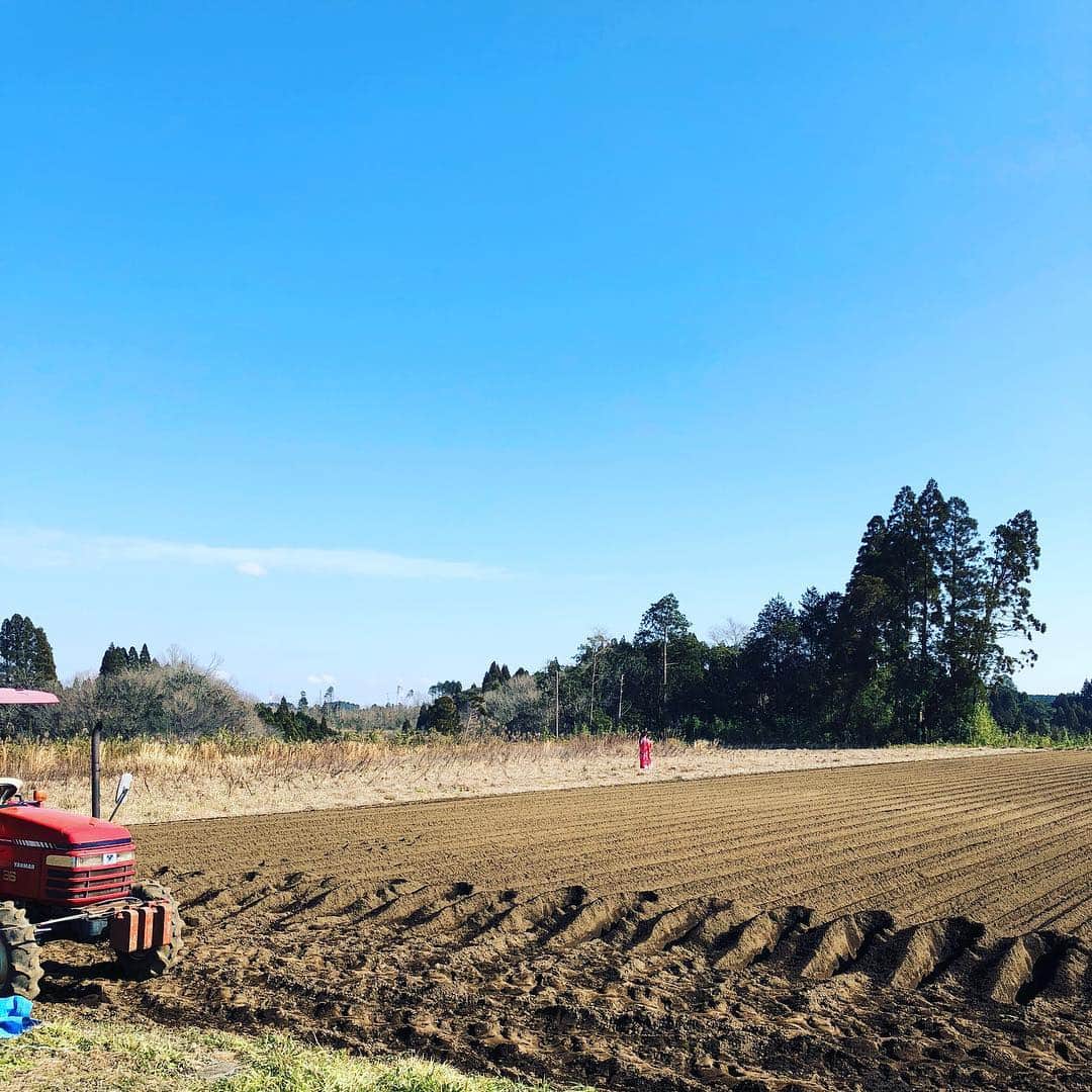 宮崎宣子さんのインスタグラム写真 - (宮崎宣子Instagram)「ハーブ園になる畑です。 今は寒いので、植えられないですが、 4月から本格的にハーブ園を作り上げていきます🌿  #ハーブ園 #宮崎県 #宮崎県野尻町 #ハーブ #ハーブの恵み #ハーブのある暮らし」1月6日 23時53分 - miyazaki_nobuko