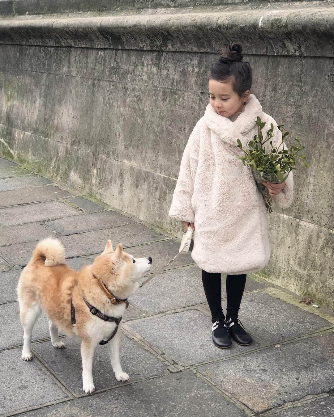 フィロとポンポンさんのインスタグラム写真 - (フィロとポンポンInstagram)「Sur le chemin du retour, une branche de gui dans une main et un bon ami dans l’autre... L’année commence bien !」1月7日 7時07分 - philo_pompon