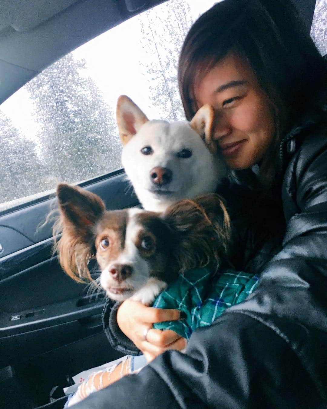 Tofu The Shibaのインスタグラム：「No comment. Just appreciation.」