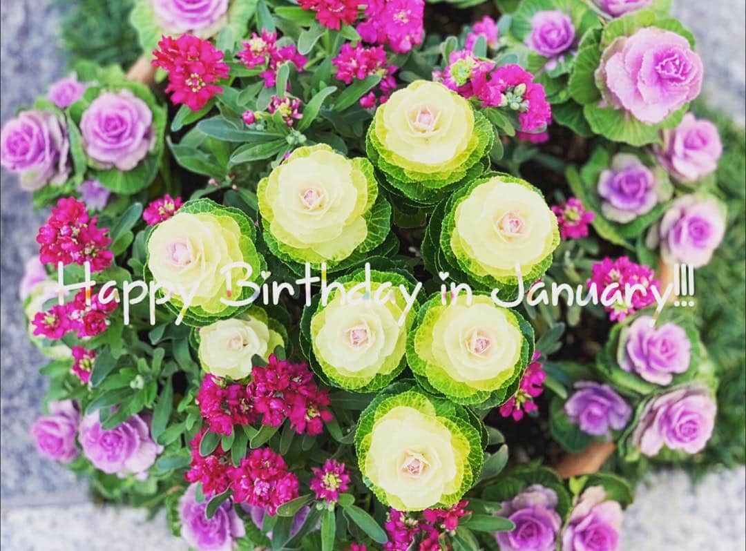 IKSPIARI イクスピアリ公式さんのインスタグラム写真 - (IKSPIARI イクスピアリ公式Instagram)「Happy Birthday in January!!! 1月生まれの皆さまお誕生日おめでとうございます🎂 2019年のスタート！素敵な1年になりますように♡ ＊ ＊ #IKSPIARI #イクスピアリ #お誕生日 #誕生日 #happybirthday #Happy #Birthday #1月 #january #1月生まれ #お花 #花 #flower #flowers #あの角の向こうに発見がある」1月7日 15時54分 - ikspiari_official