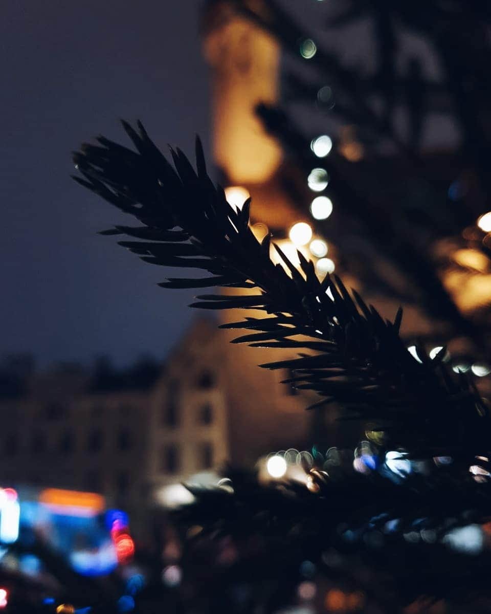 ミハイル・コリヤダさんのインスタグラム写真 - (ミハイル・コリヤダInstagram)「С Рождеством! 😉  Merry Christmas!」1月7日 21時12分 - mikhail_kolyada