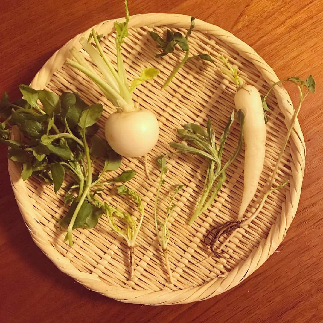 浅見れいなさんのインスタグラム写真 - (浅見れいなInstagram)「七草粥🌱 鮭の西京焼きがちょっと焦げたのと、向きが逆なのはご愛嬌。  家族が病気をせず、健康でありますように。 #無病息災」1月7日 21時25分 - reina_asami