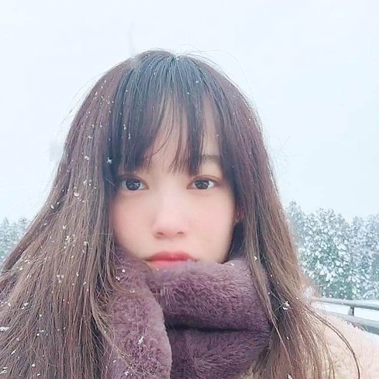 夏目志乃さんのインスタグラム写真 - (夏目志乃Instagram)「☃️はじめてこんなたくさんの雪をみました❄️」1月7日 21時46分 - shinonatsume