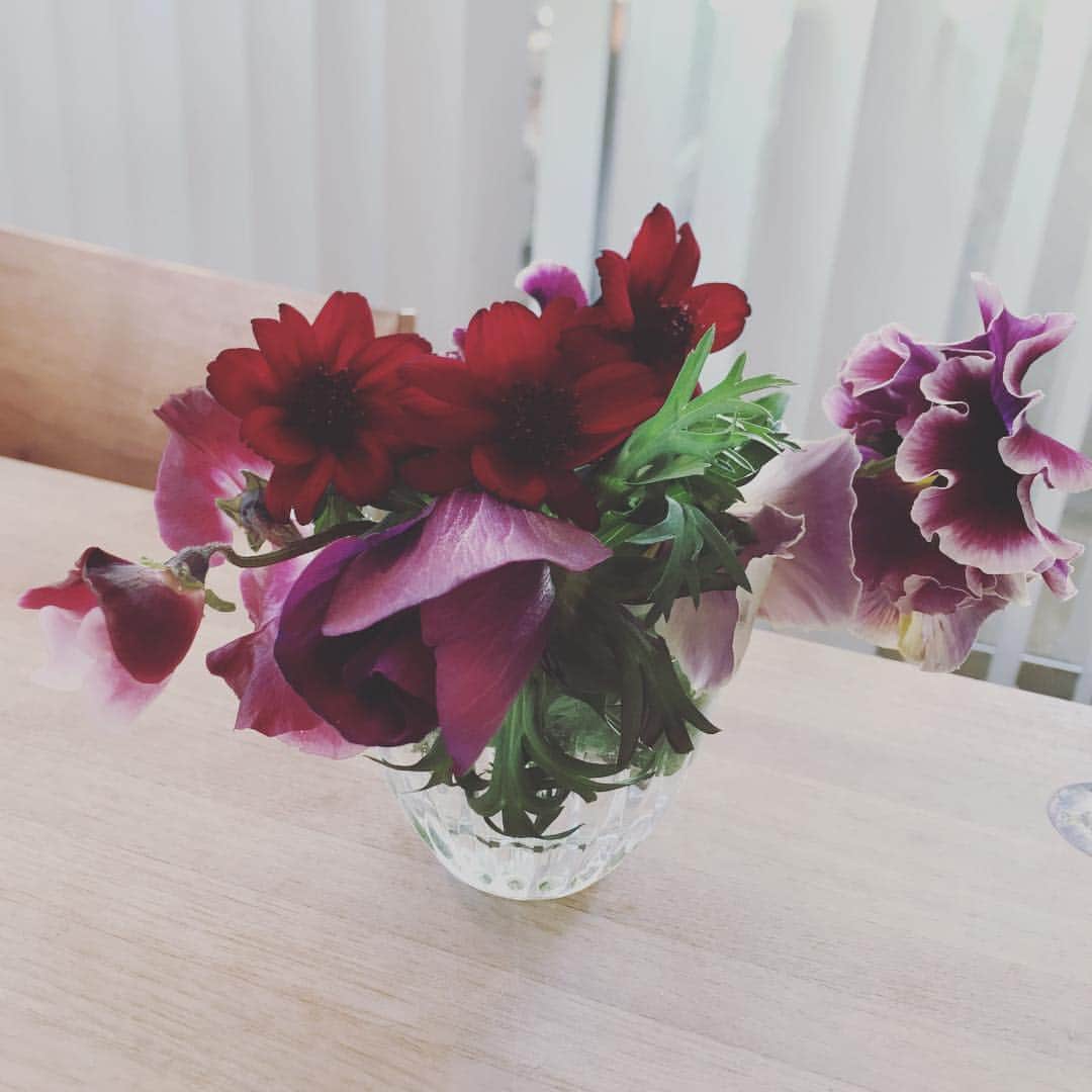 川上未映子さんのインスタグラム写真 - (川上未映子Instagram)「1枚目は自宅の食卓の花 長さのあるままいけてみたけど 小さくしたくて夜中あれこれ そしてクリスマスローズが咲きはじめた！ そして仕事場のチューリップ」1月8日 7時56分 - kawakami_mieko