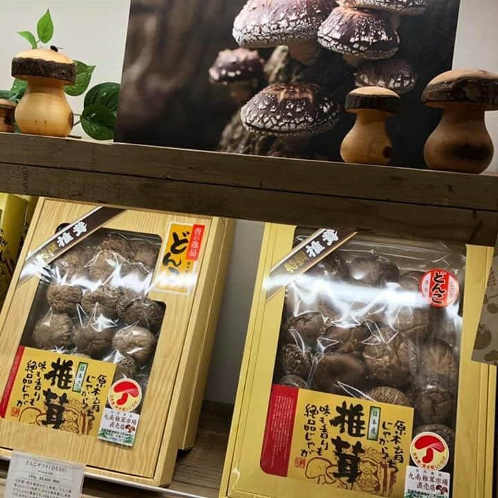 タマチャンショップ都城本店さんのインスタグラム写真 - (タマチャンショップ都城本店Instagram)「こんにちは😃 朗報です‼️ ただ今、タマチャンショップ本店では、 椎茸詰め放題！絶賛開催中！です👍🏻 . . 椎茸は、美味しいだけじゃない。栄養豊富な食材です。さらに、干し椎茸は、生椎茸より最大30倍ものうま味と栄養素がUP⤴︎してるのです！ . カルシウムの吸収を促す【ビタミンＤ】 . むくみ解消に役立つ【カリウム】 . 便秘解消に役立つ【食物繊維】 . 妊婦さんに必要な【葉酸】 . 血液サラサラに役立つ【エリタデニン】 . こんなに良いこと尽くし、ぜひ毎日のお料理に取り入れたい！大切な方へ贈りたいですよね〜 . タマチャンショップの良質な原木干し椎茸いかがでしょうか？ 特選椎茸ギフト用など盛り沢山でお待ちしております😊 . . #タマチャンショップ #タマチャンショップ都城本店 #都城 #tamachanshop #宮崎 #原木椎茸 #しいたけ #健康食材 #血圧 #葉酸 #血液サラサラ #だし #良質 #詰め放題 #食物繊維 #むくみ解消 #ダイエット」1月8日 10時01分 - tamachan_honten