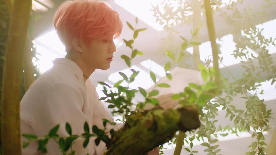 ASTROさんのインスタグラム写真 - (ASTROInstagram)「It's gonna be 'All Light' ⠀⠀⠀⠀⠀⠀⠀⠀⠀⠀⠀⠀⠀⠀⠀⠀⠀ ASTRO 1ST ALBUM [All Light] CONCEPT FILM #JINJIN 2019.01.16 COMING SOON 🌿 ⠀⠀⠀⠀⠀⠀⠀⠀⠀⠀⠀⠀⠀⠀⠀⠀⠀ #ASTRO #아스트로 #AllLight #진진」1月8日 21時01分 - officialastro