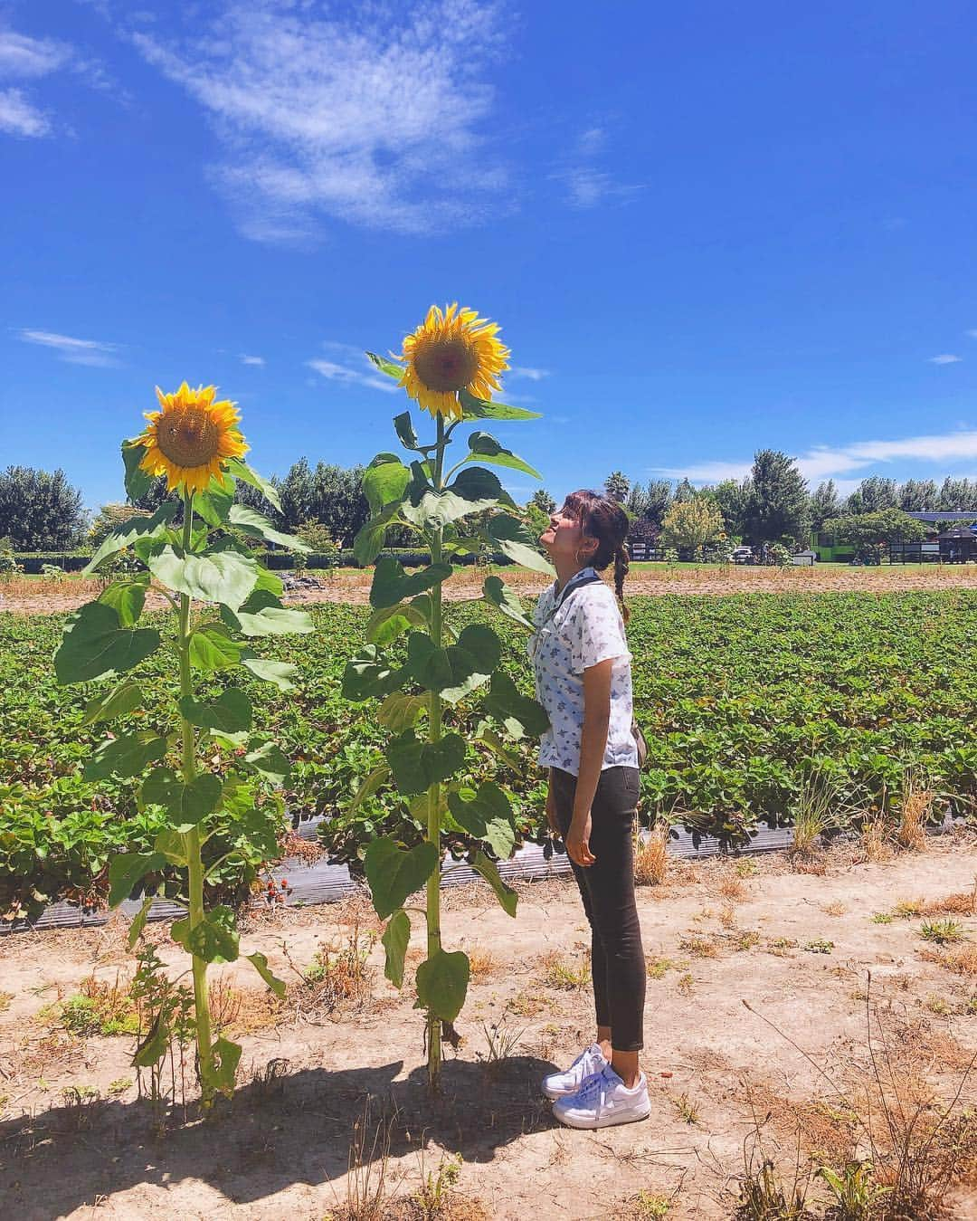 徳永千奈美さんのインスタグラム写真 - (徳永千奈美Instagram)「What will be, will be.☺️💗 #abroad #life #sunflower  #smile  #happy  #relax  #mylife」1月8日 13時38分 - chinami.tokunaga