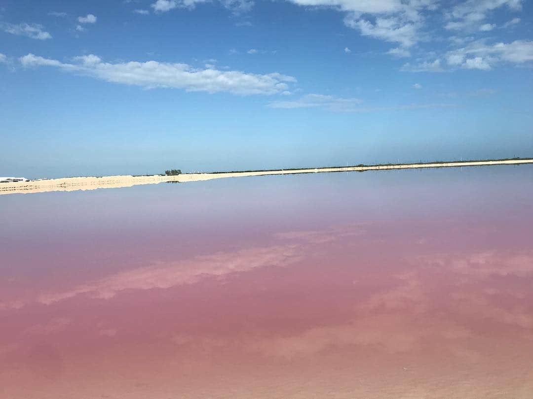 水原希子 さんのインスタグラム写真 - (水原希子 Instagram)「Pink water + Baby blue Sky + Heaven🌤💕💦」1月8日 15時20分 - i_am_kiko