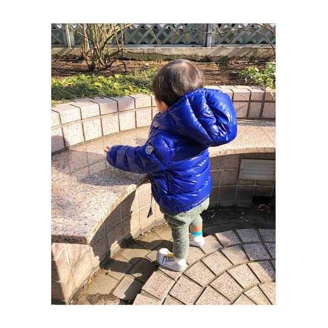 秋元玲奈さんのインスタグラム写真 - (秋元玲奈Instagram)「前まではベビーカー散歩だったのに、今や私の手を引っ張ってお散歩。1年でこんなに成長するのか😭😭 #babyboy #1歳2ヶ月 #あんよでお散歩 #体力ありあまる #わんぱく男子 #これから大変だ」1月8日 15時43分 - rena_akimoto