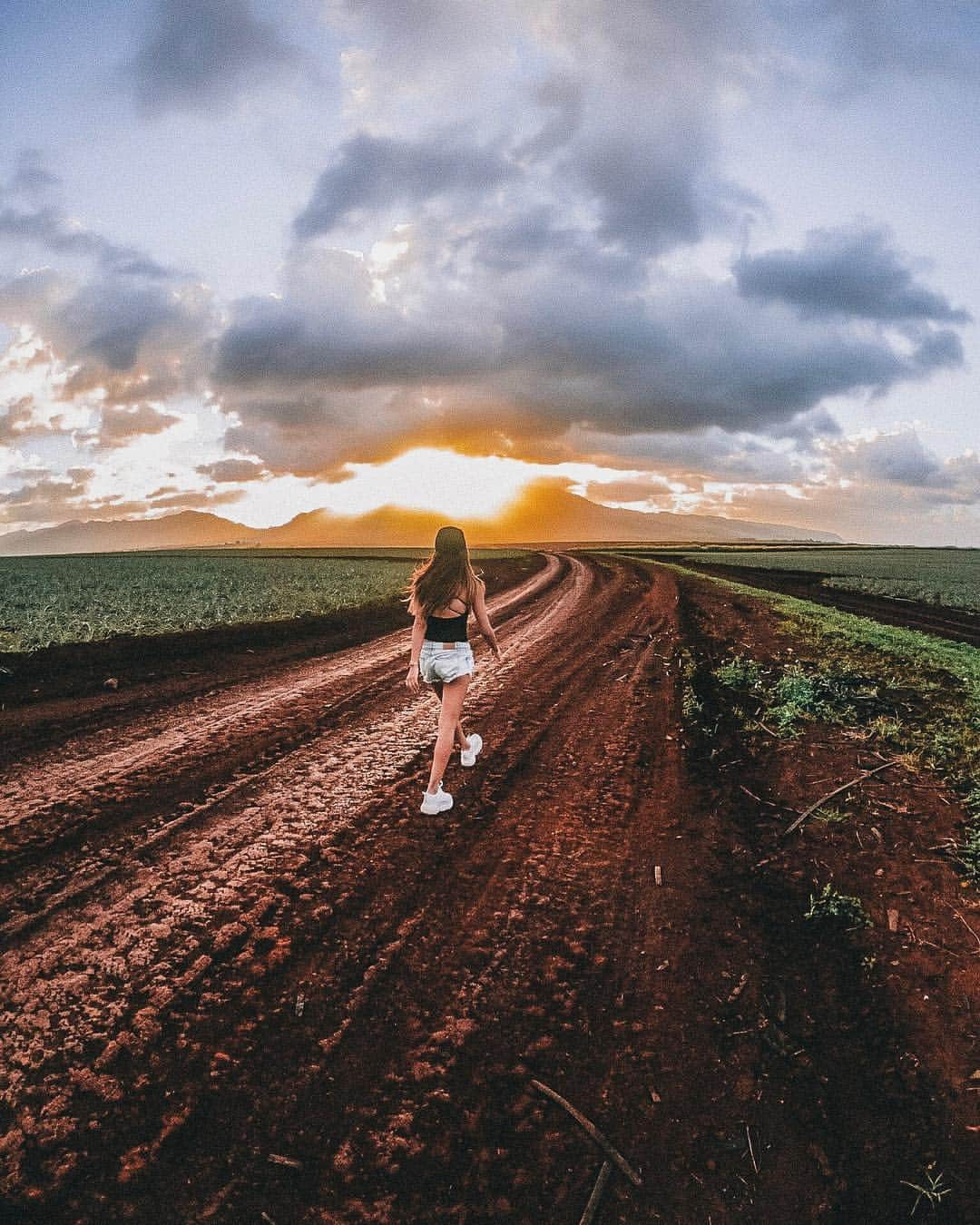 福井仁美さんのインスタグラム写真 - (福井仁美Instagram)「Fabulous sunset🍍Dole Plantation ────────────────────── ノースからの帰り。 海のサンセットも素敵だけど こんな景色もとっても幻想的💛 ・ @movie_by_masa  #sunset #northshore #dole #magnificent_sunsets #ノースショア #gopro #goprojp #hawaii #ハワイ」1月8日 19時37分 - hitton28