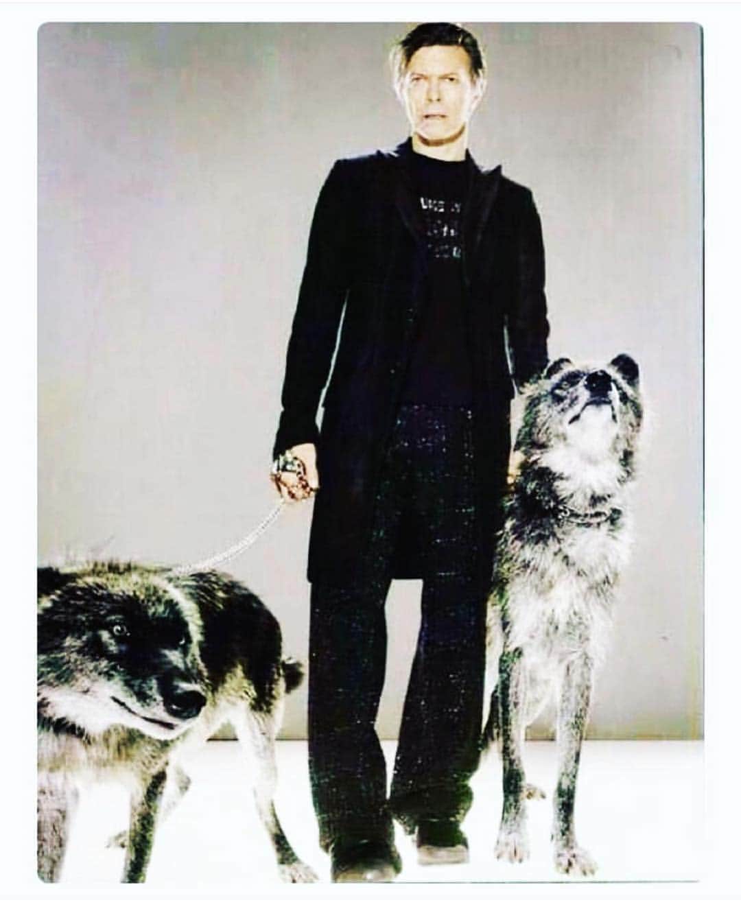 コスチュームナショナルのインスタグラム：「In loving memory of a legend, @davidbowie. It was a pleasure and honor to create and capture this amazing moment #happybirthday #davidbowie」