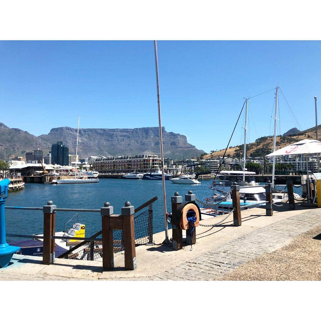 山崎紘菜さんのインスタグラム写真 - (山崎紘菜Instagram)「⚓️🚢🐠 #memoriesofsouthafrica  #capetown #november2018」1月8日 23時24分 - hirona_yamazaki