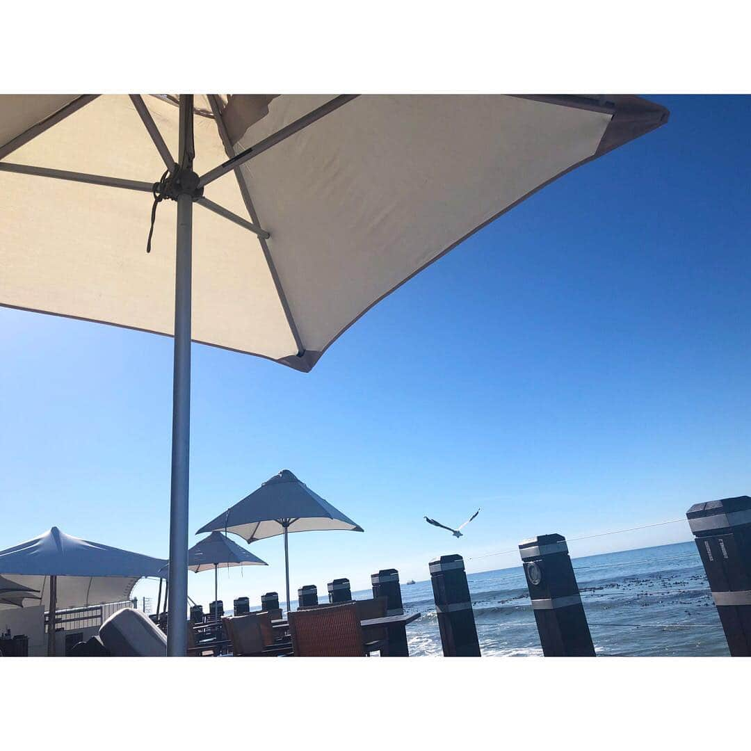 山崎紘菜さんのインスタグラム写真 - (山崎紘菜Instagram)「🐠🐠🐠 #memoriesofsouthafrica  #capetown #november2018」1月8日 23時28分 - hirona_yamazaki