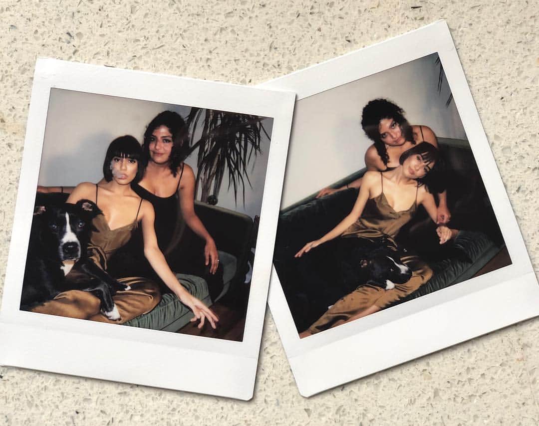 Janice Griffithのインスタグラム：「can u believe my dog is such a model」