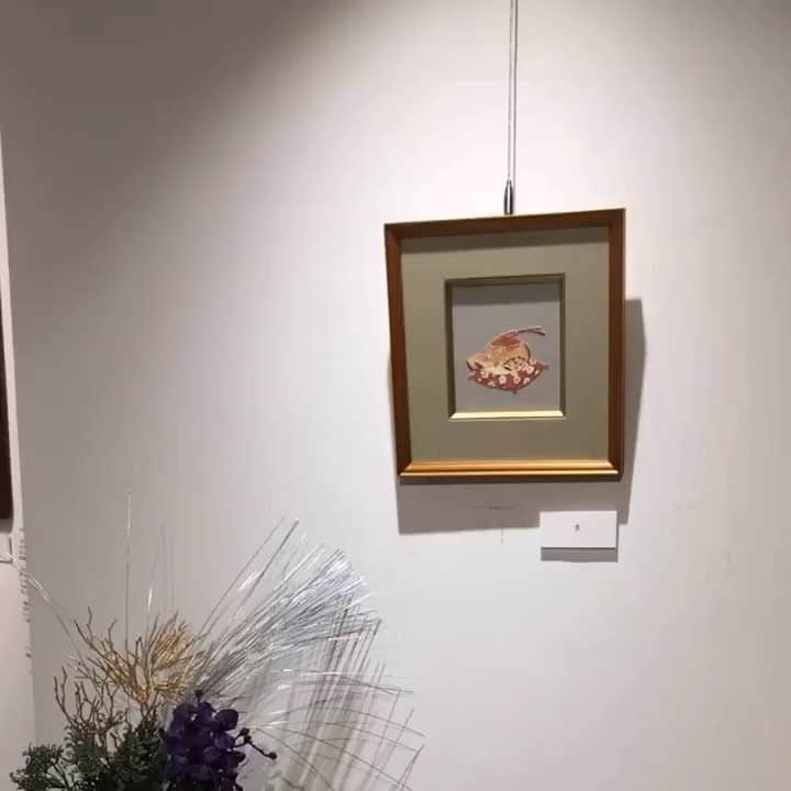 のインスタグラム：「明日から神戸のグループ展始まります！ 10名の作家さんの作品を存分に楽しめる展示になっているので、三連休のお出かけにも是非😊 【グループ展のお知らせ】  睦月展 うつくしい和 1月10日(木)〜15日(火) 11時〜18時（最終日は17時まで） 場所👉FLORE Artist Gallery 神戸市中央区山本通 1－7－9ブーミン北野  1F アクセス: 阪急電鉄三宮駅・JR 三ノ宮駅 東出口→徒歩８分、阪神電鉄三宮西出口→徒歩５分、東海道新幹線新神戸駅→車５分 #神戸北野  #ギャラリー巡り  #北野坂 #個展 #exhibition #ギャラリー #画廊 #アート #art #画家 #artist #古賀陽子 #yokokoga #油絵 #肖像画 #絵 #painter #人物画 #artstagram #gallery #portraitpainting #portraitartist #portrait #アーティスト #artwork #アート好きな人と繋がりたい  #神戸 #japaneseart」